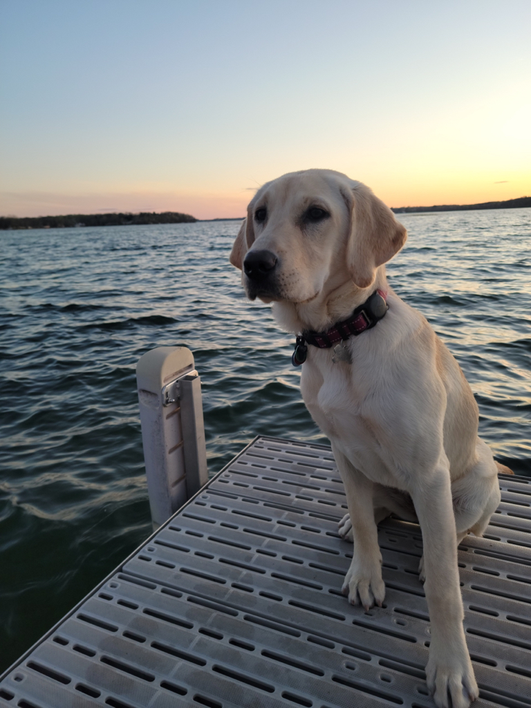 Willow out on the dock at the lake cabin wondering what all this water stuff is.