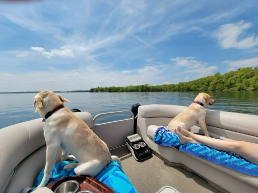 Willow and Remy, sisters on a pontoon boat ride.